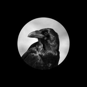 成人国产高清无码在线观看
