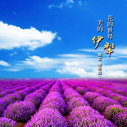 成人国产高清无码在线观看
